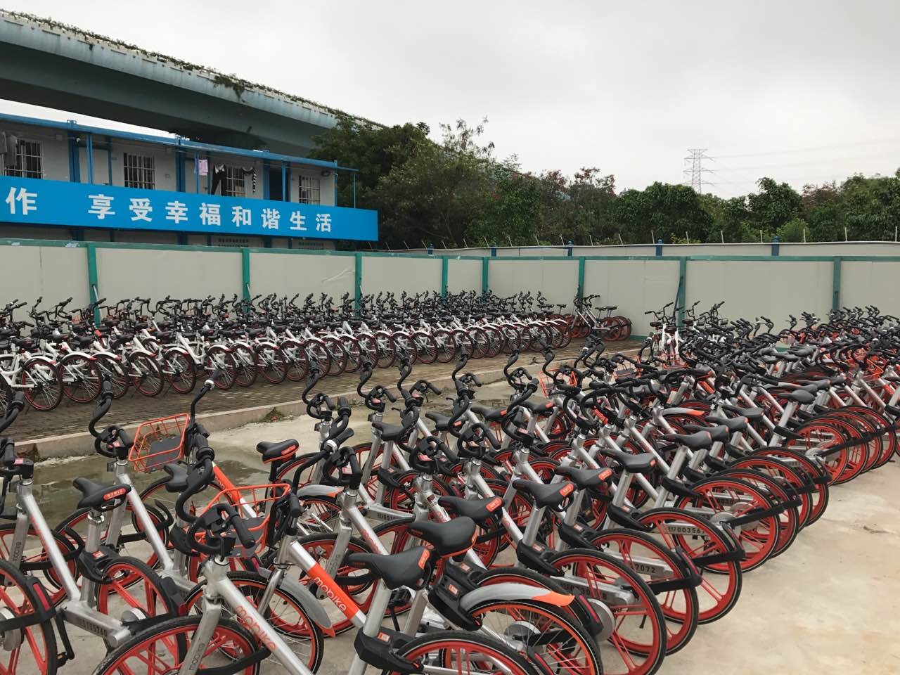 6688����-ȫ����Ȩ��������������ֱ���������ƽ̨_6688�ۡ�