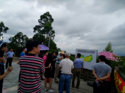 6688����-ȫ����Ȩ��������������ֱ���������ƽ̨_6688�ۡ�