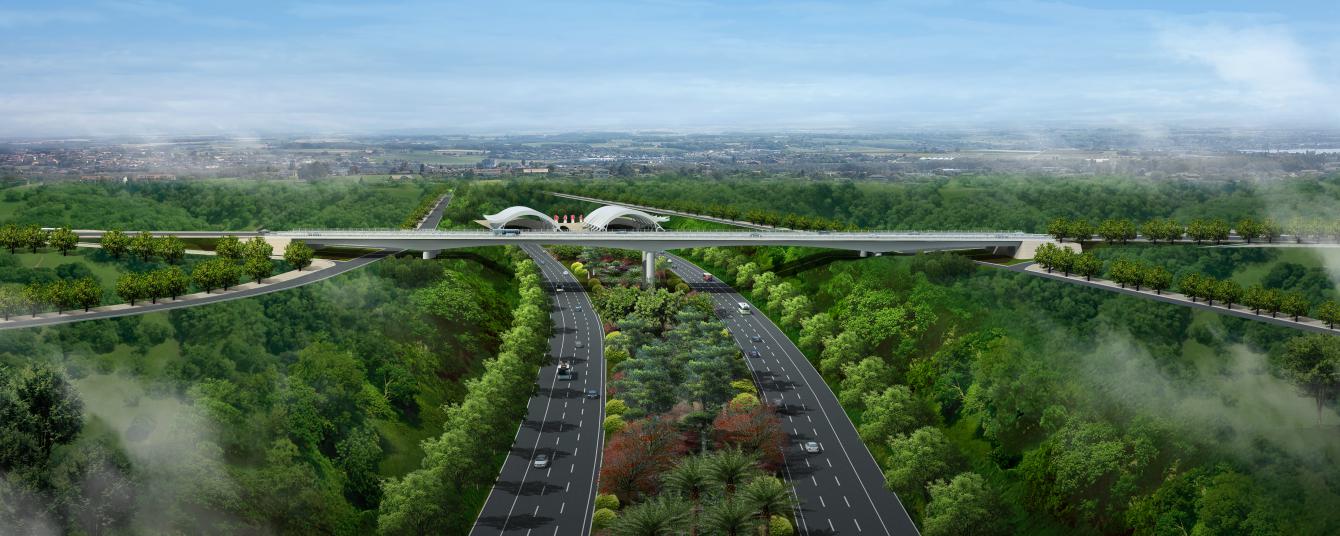 6688����-ȫ����Ȩ��������������ֱ���������ƽ̨_6688�ۡ�