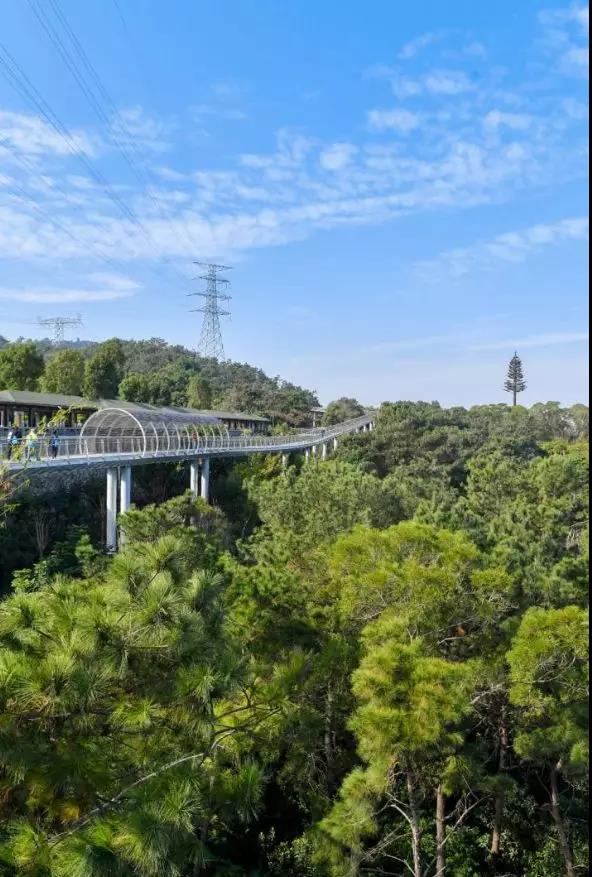 6688体育-全网最权威热门体育赛事直播免费在线平台_6688综…