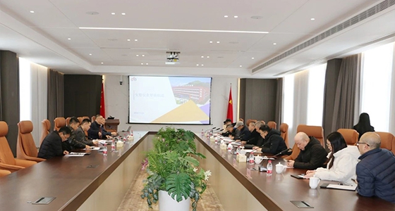 省级两化融合国度综合性示范区验收组专家调研东升国际官网集团