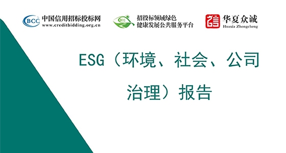 东升国际官网仪表集团ESG（环境、社会、公司治理）汇报